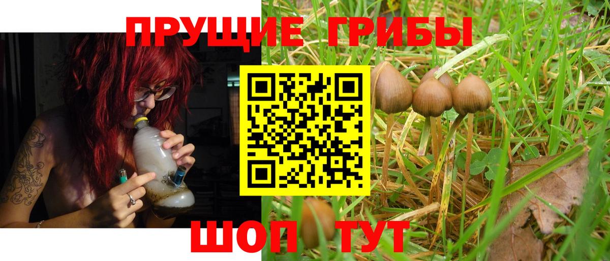Псилоцибиновые грибы MAGIC MUSHROOMS  Галлюциногенные грибы Cubensis  Вход с VPN  Алексин 